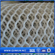 High Quality Hexagonal Plastic Netting